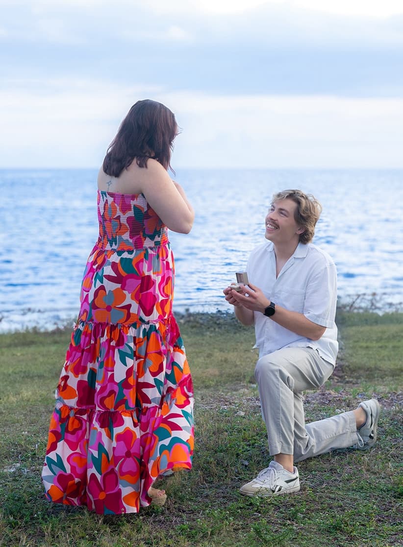 The proposal